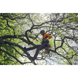 Uprząż wspinaczkowa Husqvarna