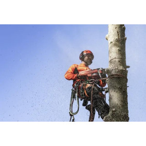 Pilarka spalinowa HUSQVARNA 545 Mark II