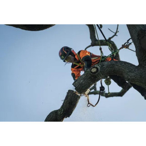 Pilarka akumulatorowa Husqvarna T540i XP® (Nie zawiera baterii i ładowarki. 14″ SP21G. Bluetooth, czujnik oleju)