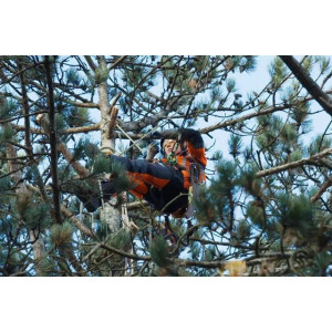 Pilarka akumulatorowa Husqvarna T540i XP G