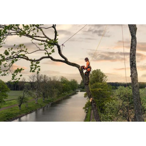 Pilarka spalinowa HUSQVARNA T540 XP® Mark III